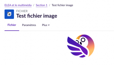 PNG - 80.3 kio