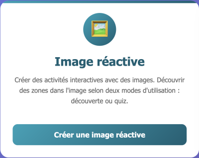 Capture d'écran du bouton d'accès de l'activité Image réactive avec description de l'activité